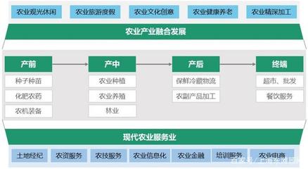 數(shù)字浪潮下的縣域經(jīng)濟新圖景 電子商務(wù)驅(qū)動創(chuàng)新與升級